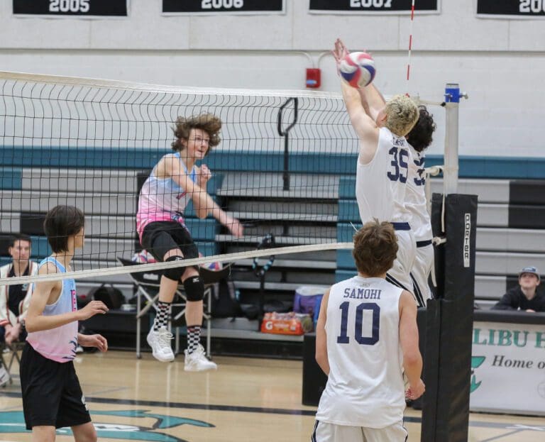 Sharks boys volleyball second in league standings