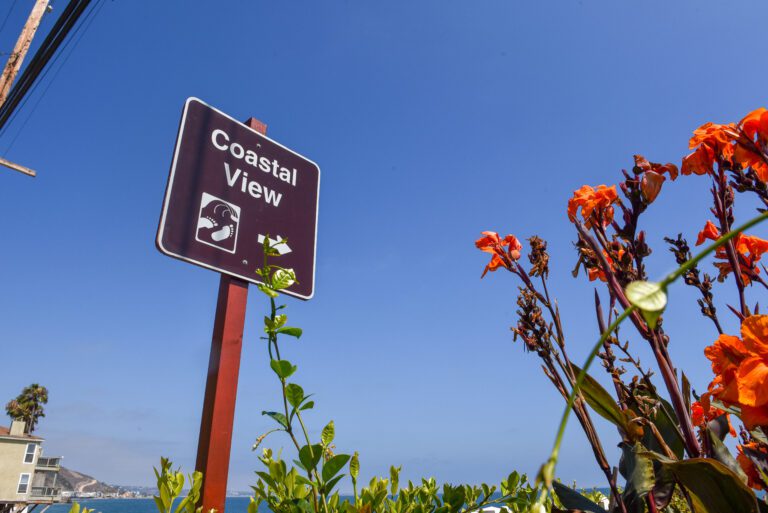 New science updates shared on DDT contamination off the Malibu coast New science updates shared on DDT contamination off the Malibu coast