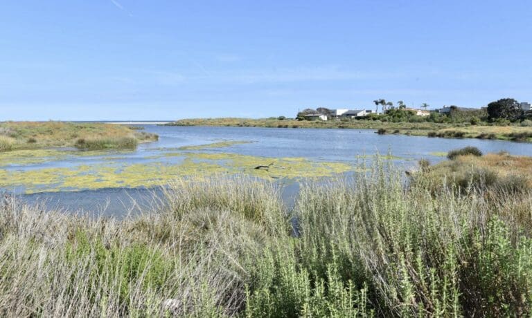 Malibu Lagoon State Beach reopens following sewage spill last week