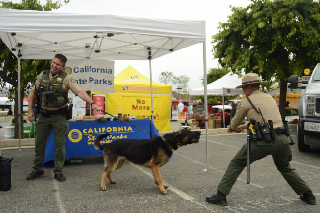 California State Park Peace Officer D. Gunn and California State Park Ranger B. Maikai demonstrate training with K9 Argo during the Safety Expo on June 10 1