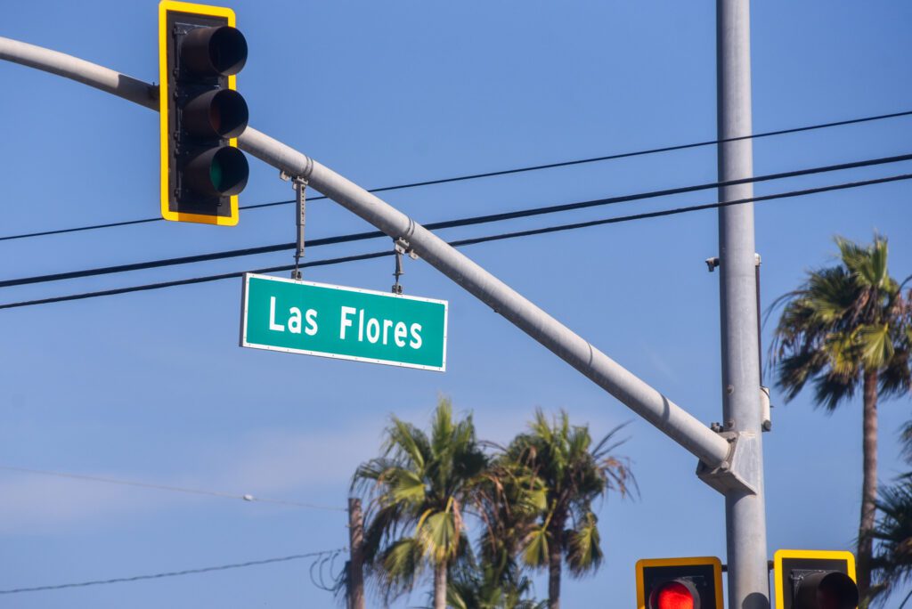 03 LasFlores 1