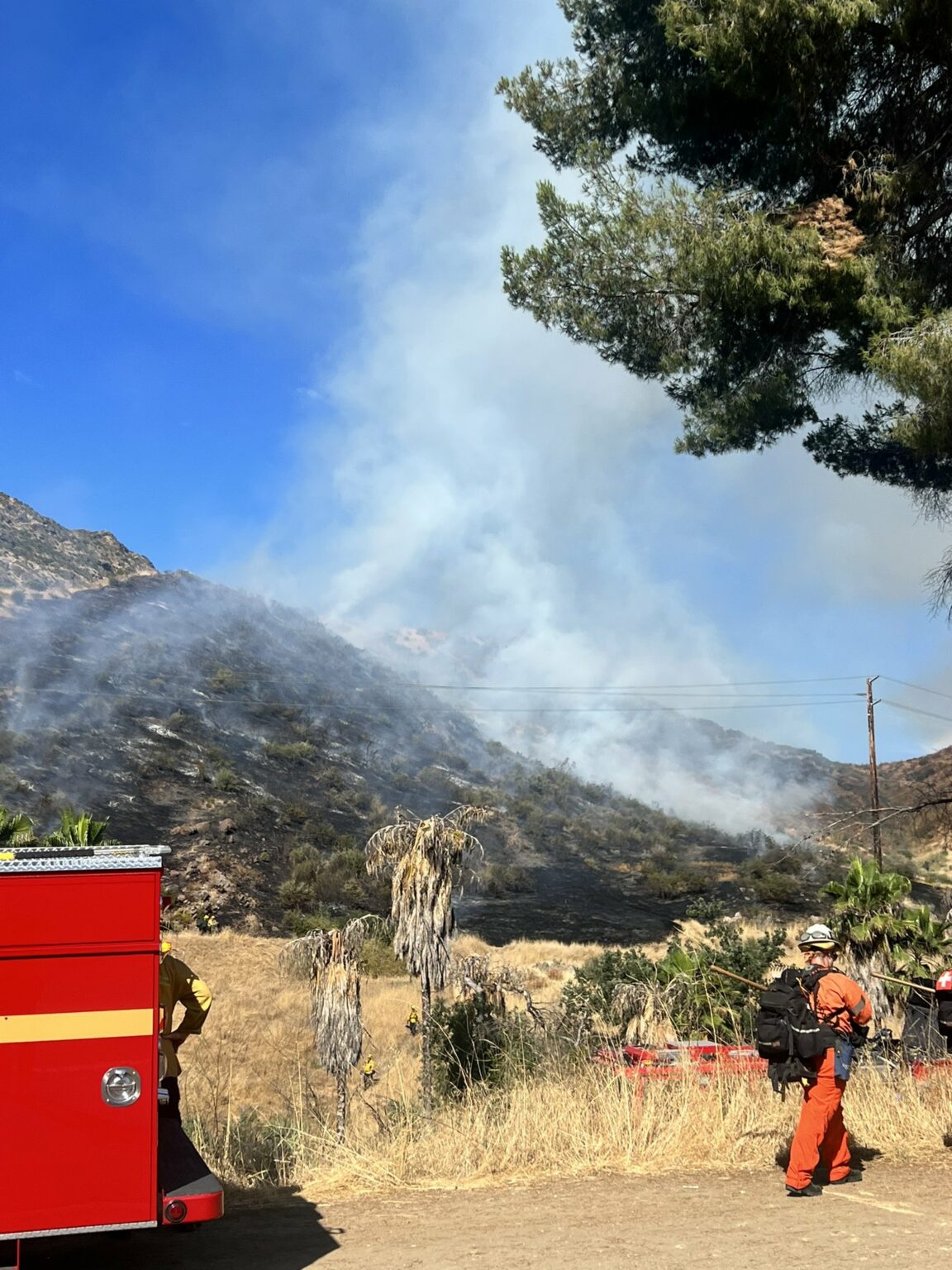 Brush Fire On Kanan And Agoura Road; No Current Threat To Malibu • The ...