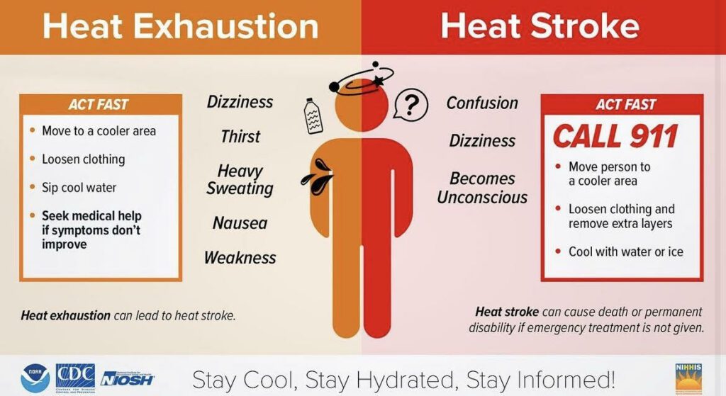 MSAR heat graph