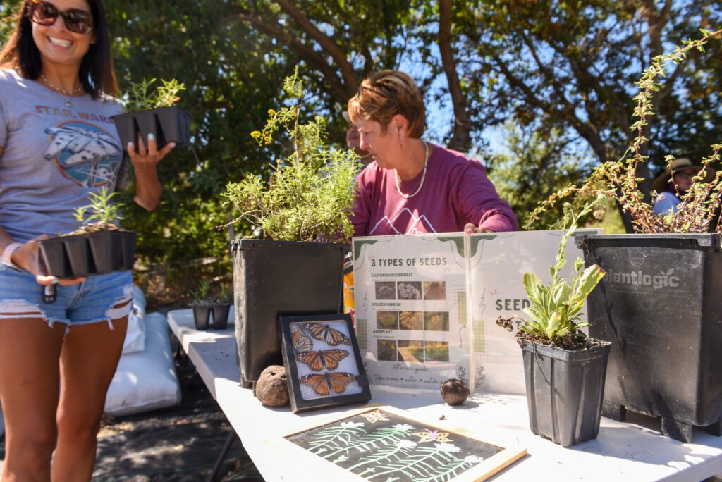 02 Milkweed event ThousandOaks SamBravo