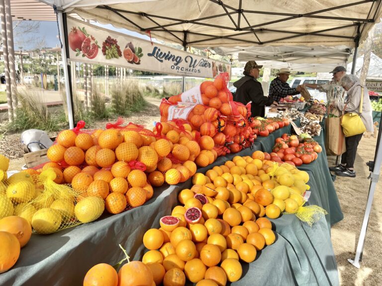 Breaking: Malibu Farmers Market cancelled due to Hurricane Hilary Breaking: Malibu Farmers Market cancelled due to Hurricane Hilary
