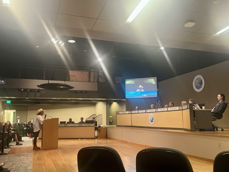 City Council Postpones Debate on Accessory Dwelling Units City Council Postpones Debate on Accessory Dwelling Units