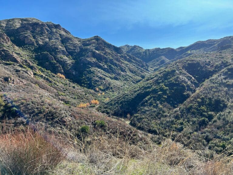 New nonprofit aims to preserve public recreation in Santa Monica Mountains
