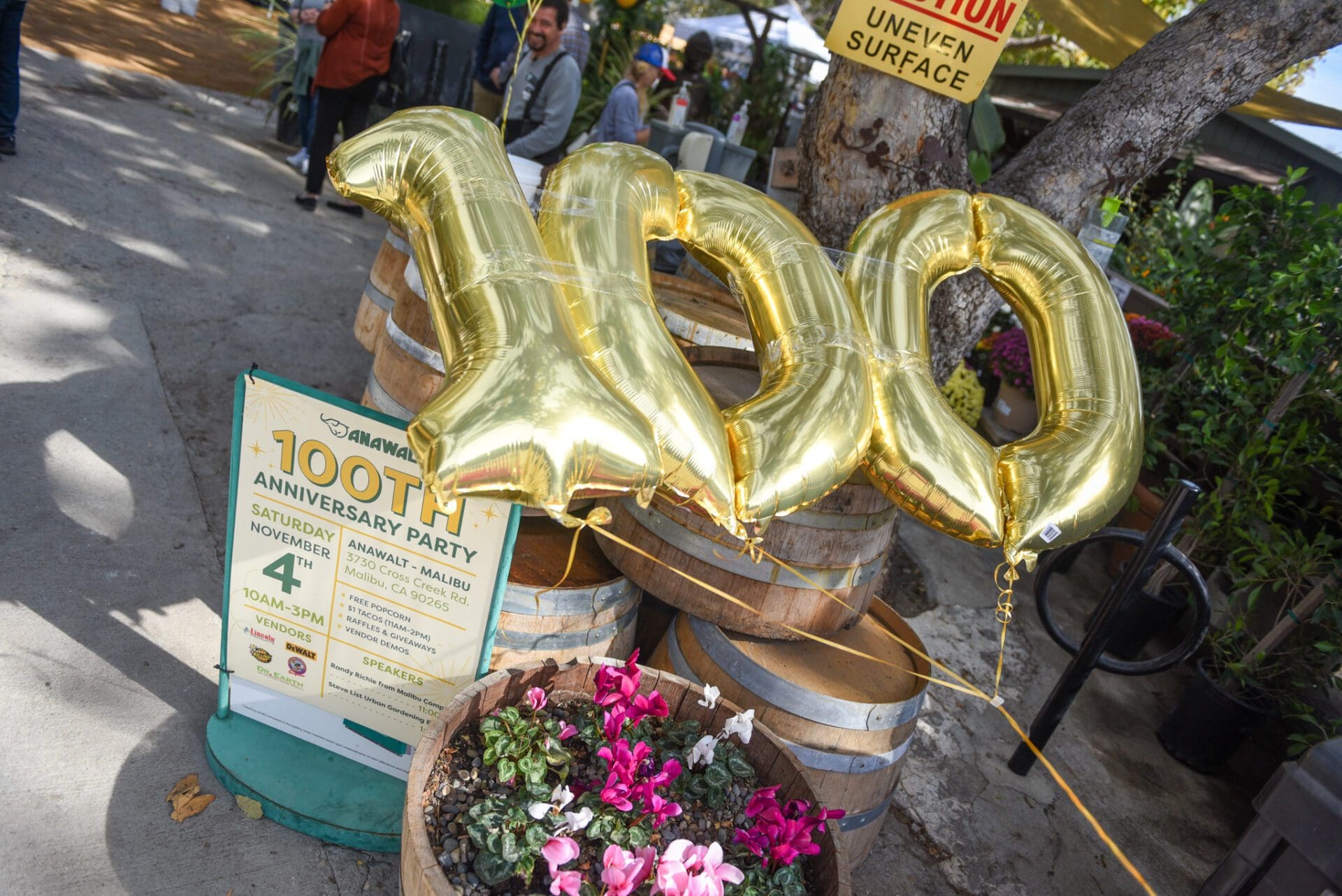 Anawalt lumber near me