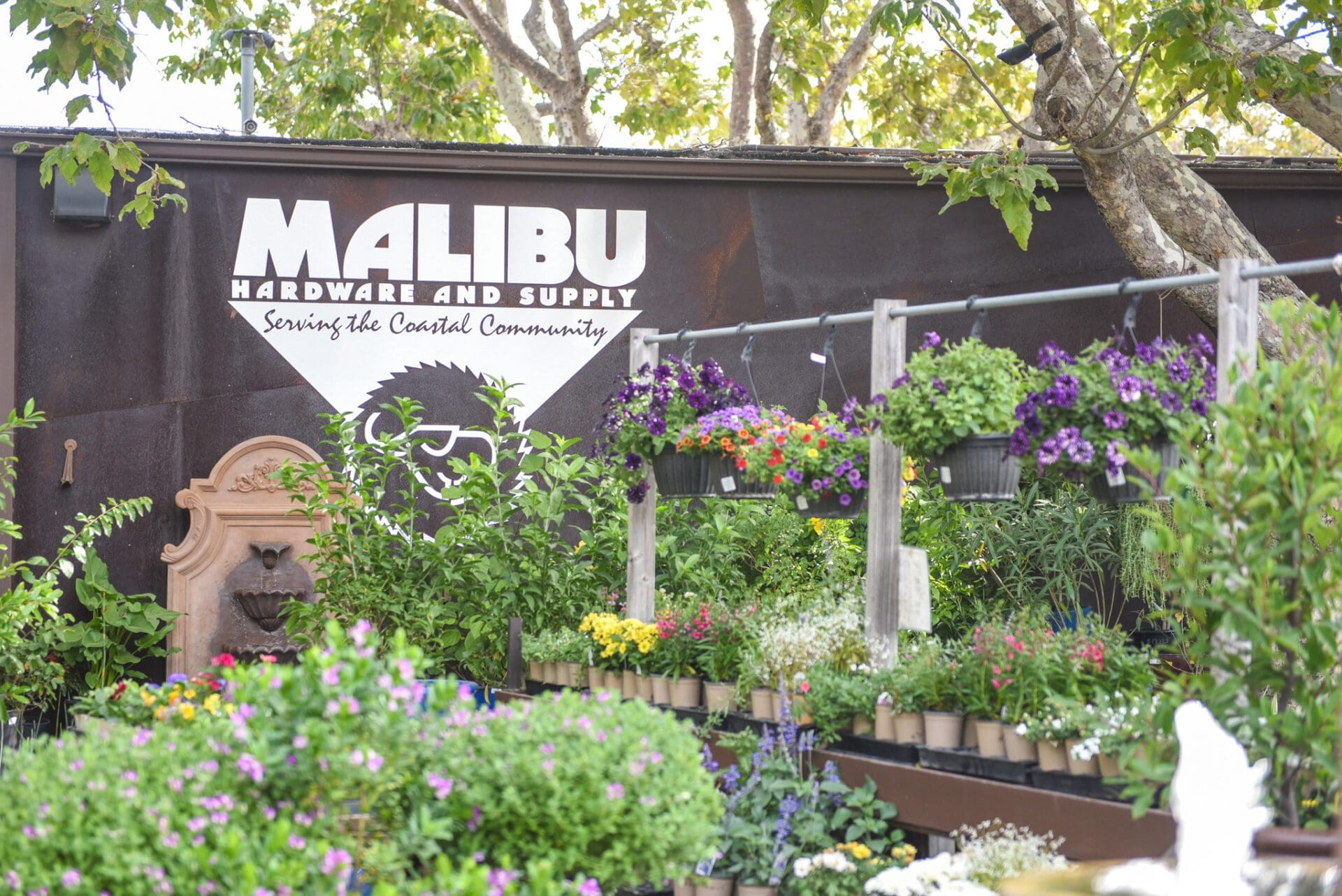 Anawalt lumber near me