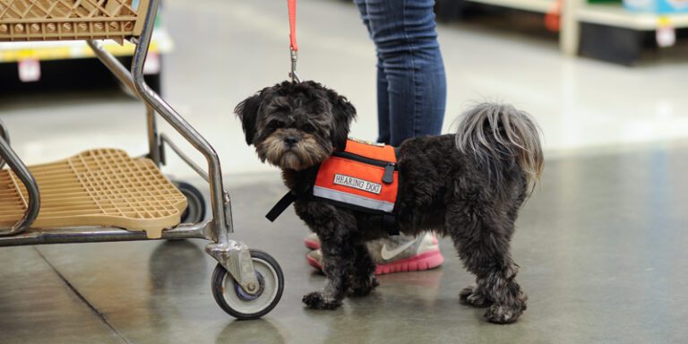 Dogs trained to assist hearing-impaired Dogs trained to assist hearing-impaired
