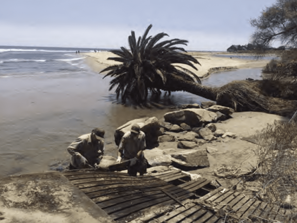 Photos taken after Spring 2019 show a fallen 100 year old palm tree and property damage from erosion at the Adamson House