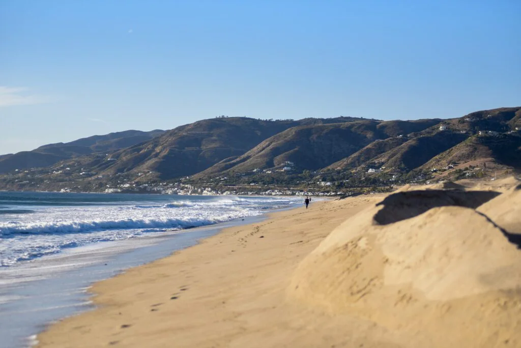 Zuma Beach Biodiversity – The Beach