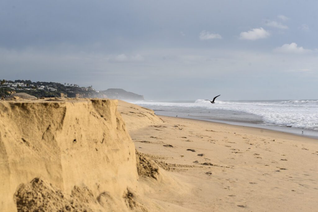 05 High Tides Zuma Beach SamBravo