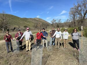 SAMO Fund hosts a day of service partnering the SAMO Restoration team with volunteers to hand weed and cage valley oak tree sapling