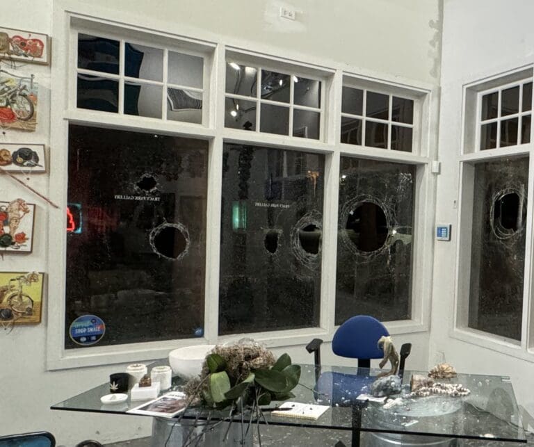 Vandalism at Tracy Park Gallery in Malibu Leaves Windows Shattered, but Art Unharmed