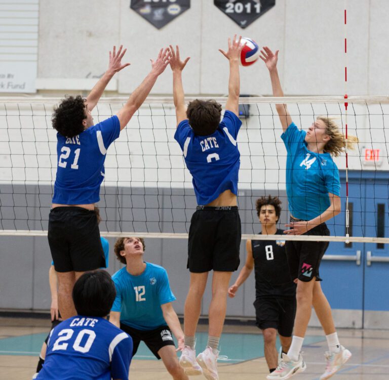 Sharks boys volleyball begin playoffs as top seed