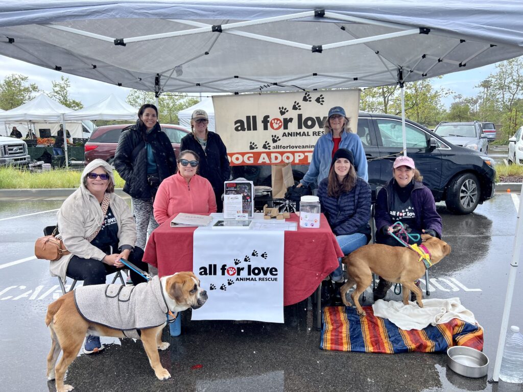 12 Malibu Farmers Market Paws for a Cause event