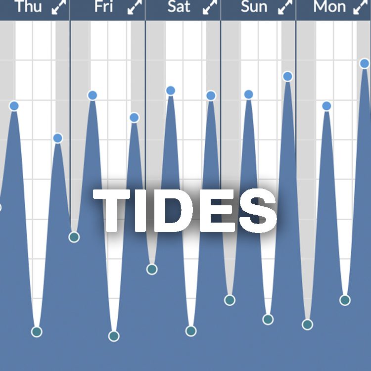 TMT Tides Image