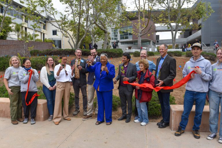 Malibu Foundation plants first microforest at Santa Monica College