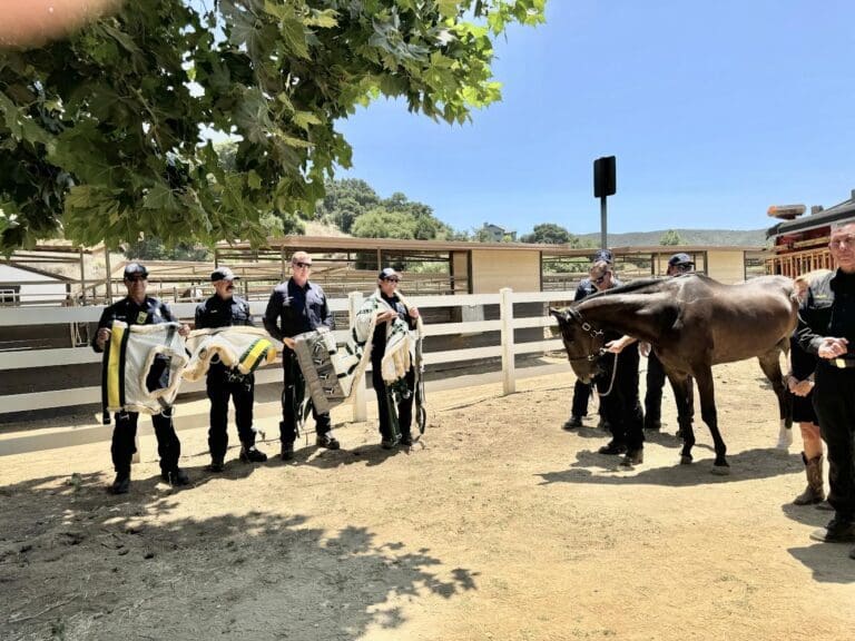 Malibu is a little town with a heart