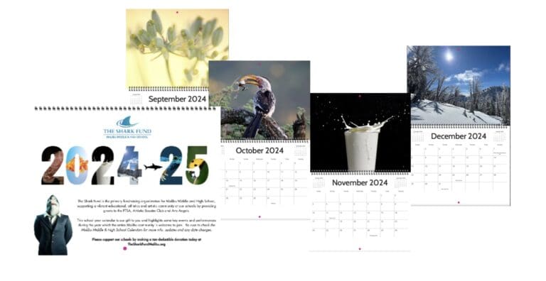 Celebrate and support Malibu schools’ arts programs with the Malibu Sharks calendar