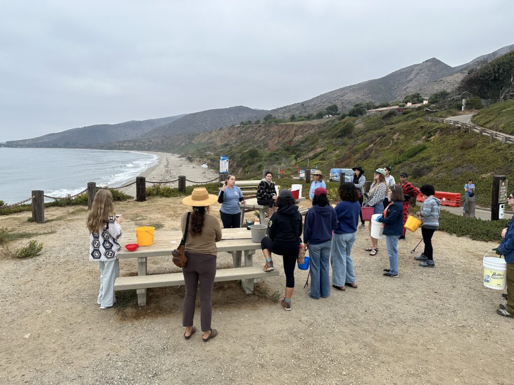 Coastal Cleanup 4