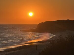 Leo Carrillo County lin. Photo by Dolores Gillham