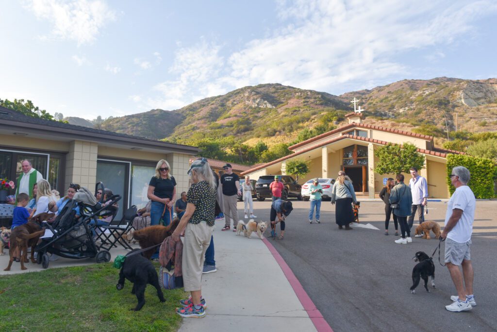 03 Our Lady of Malibu Animal Blessing SamBravo