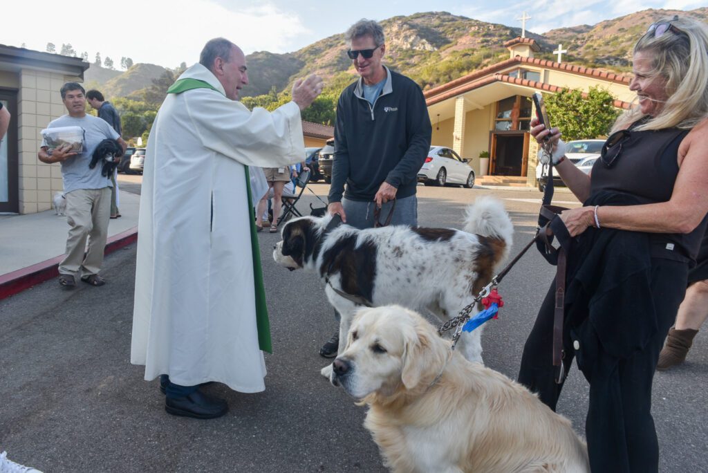 32 Our Lady of Malibu Animal Blessing SamBravo