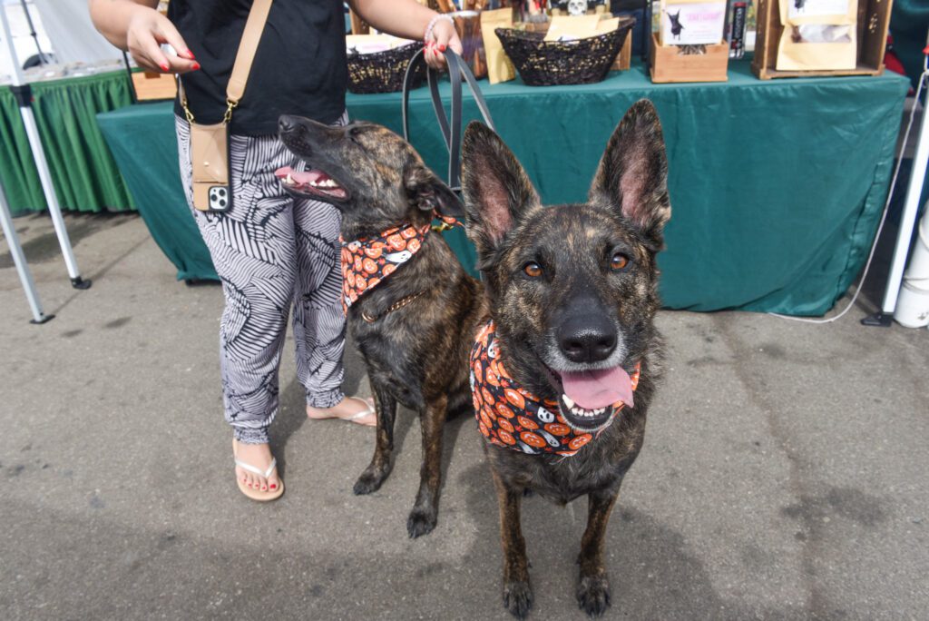 34 Malibu Farmers Market 25th anniversary SamBravo