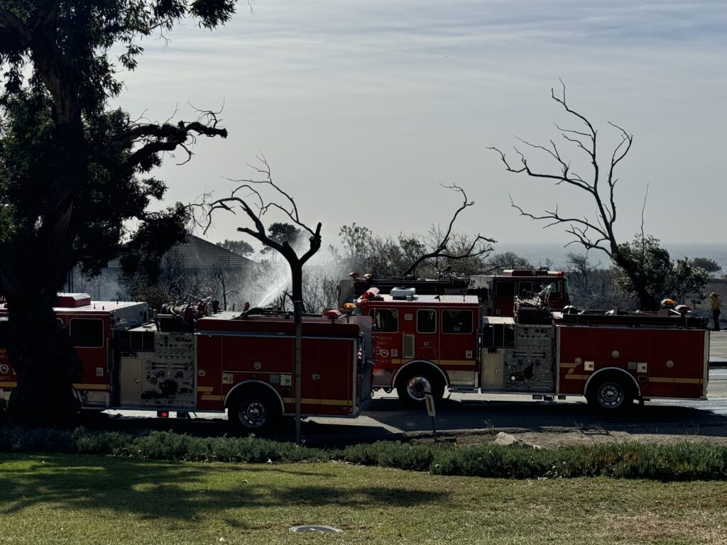 Malibu Fire 11.06.24 Matt Diamond IMG 2261