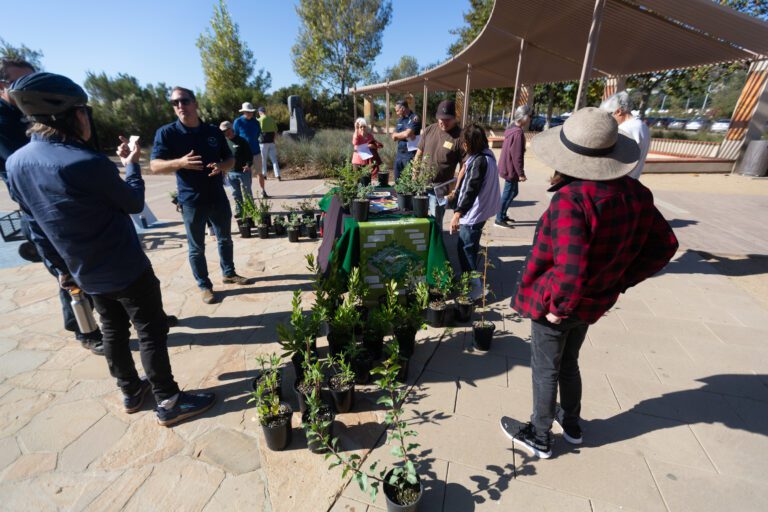 City hosts native plant giveaway and tour at Legacy Park