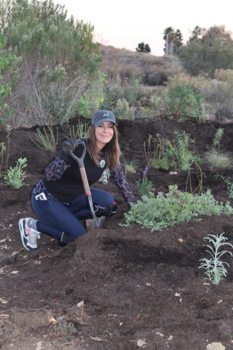 Butterfly garden taking shape in Malibu