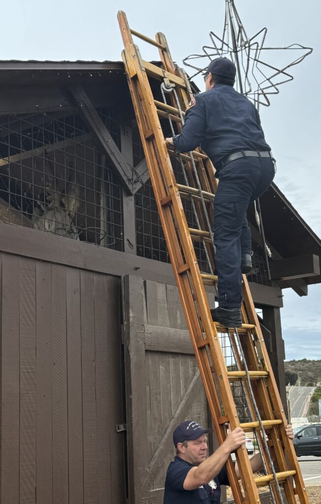 2Los Angeles Fire Department Ladder 88 puts up the star atop the creche on the morning of Nov. 29. Photo by Barbara BurkeTMT