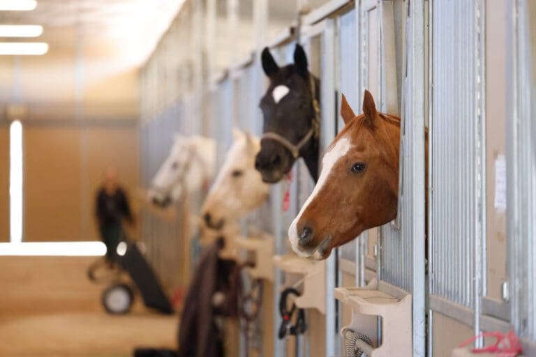 Pierce College becomes invaluable resource for evacuating animals in Malibu emergencies