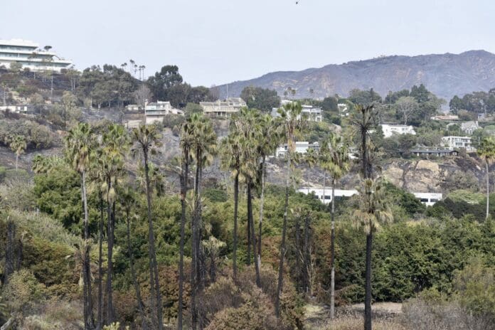 Franklin Fire 2024. Photo by Samantha Bravo/TMT.