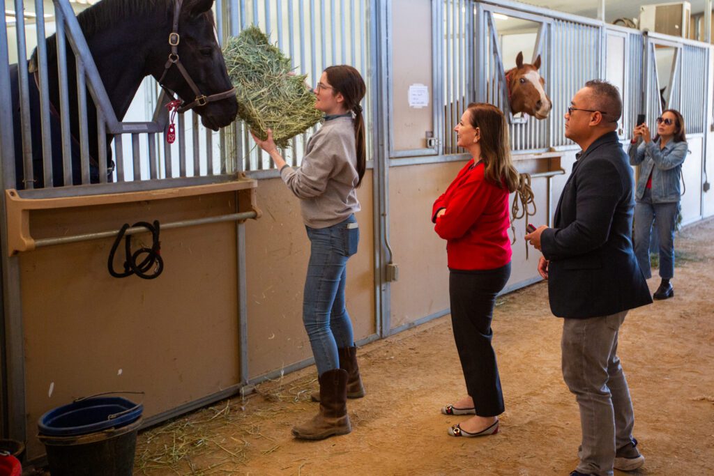 Pierce College President Ara Aguiar and Dean of Career Technical Education Mon Khat visit the evacuated horses due to the Franklin fire