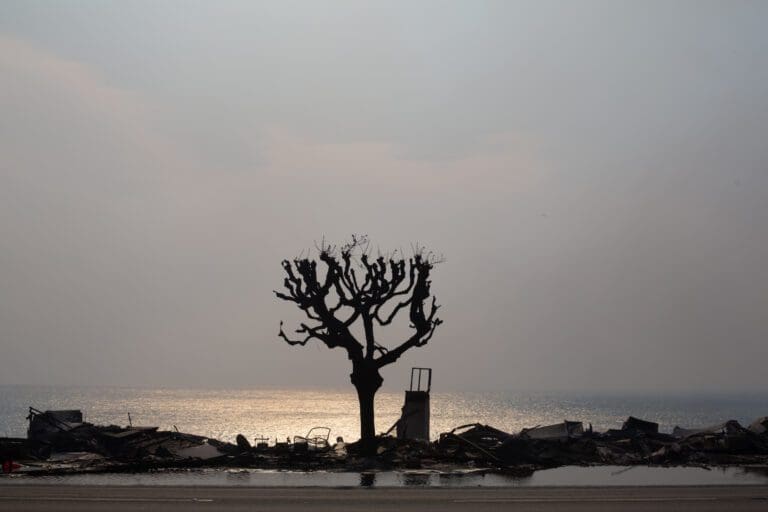 Palisades Fire ravages Malibu leaving death and destruction in its wake