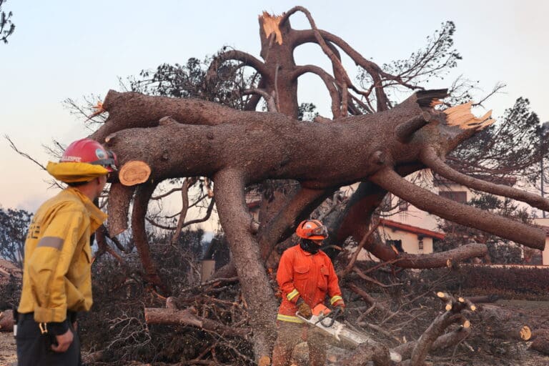 LA County City Windstorm and Wildfire Conference: Wednesday, Jan. 15, at 8:00 a.m