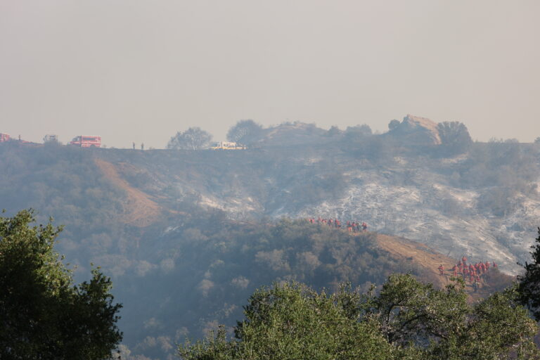 Palisades Fire Update, Sunday, Jan. 19: 52% Contained, Critical Recovery Efforts Underway Palisades Fire Update, Sunday, Jan. 19: 52% Contained, Critical Recovery Efforts Underway