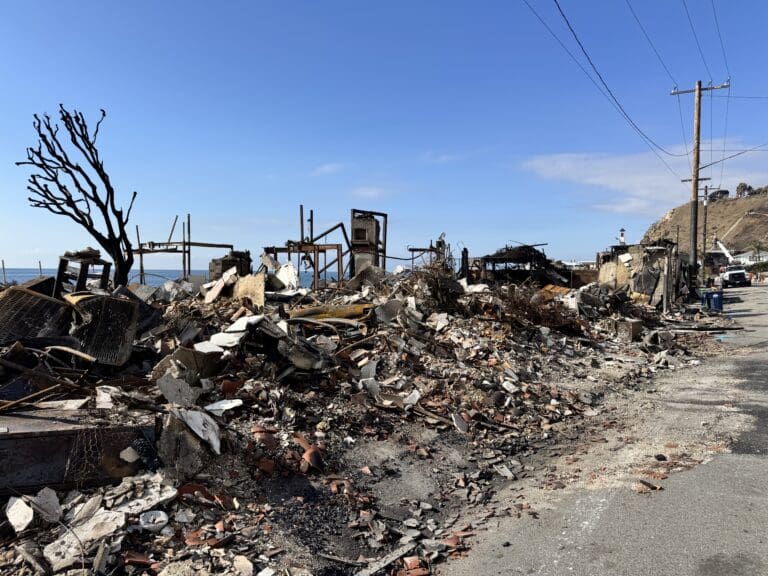 Experts discuss how bioremediation can cleanse your fire-affected land