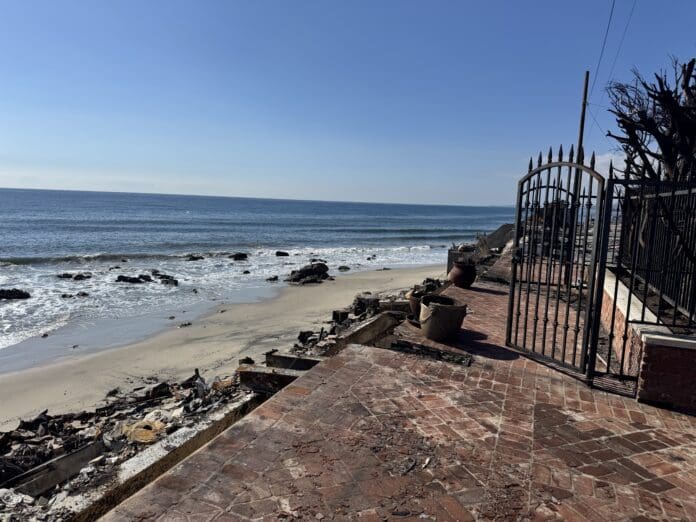 Palisades Fire devetation along PCH. Photo by Hayley Mattson:TMT