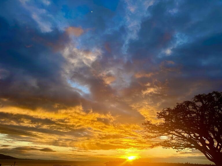 Malibu’s Best Shot: Sunrise from the Point Dume Headlands on Cliffside Drive