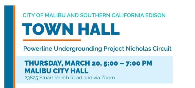 Meeting on Restoring Electric Service in Palisades Fire-Affected Areas