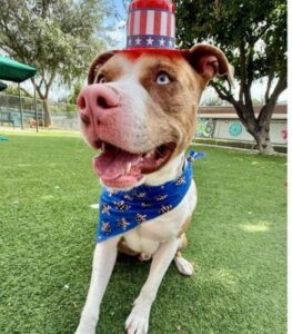 King A5679300 May 29