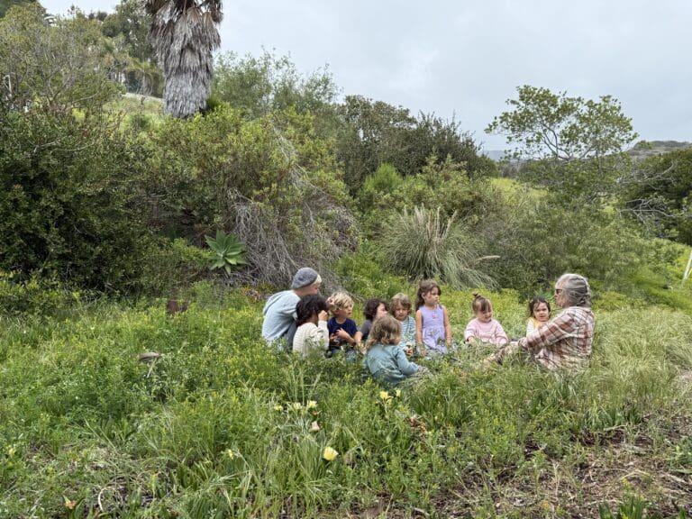 Still Standing: A tale of two Malibu preschools