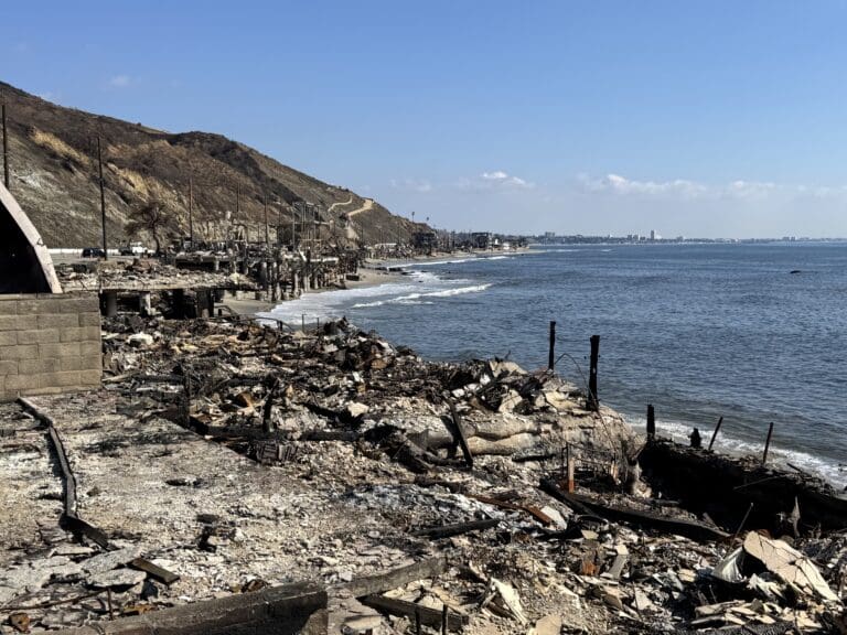 Rebuilding from the roots: How healthy soil and native plants help fire-ravaged landscapes heal