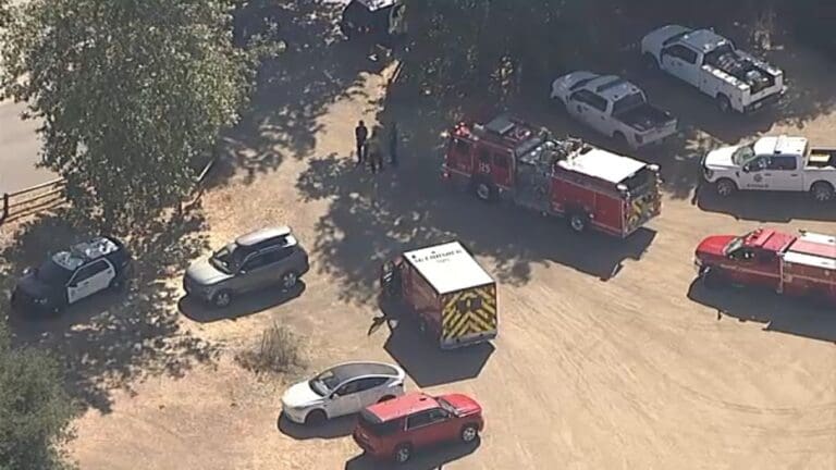 Young boy killed when massive tree limb snaps at King Gillette Ranch