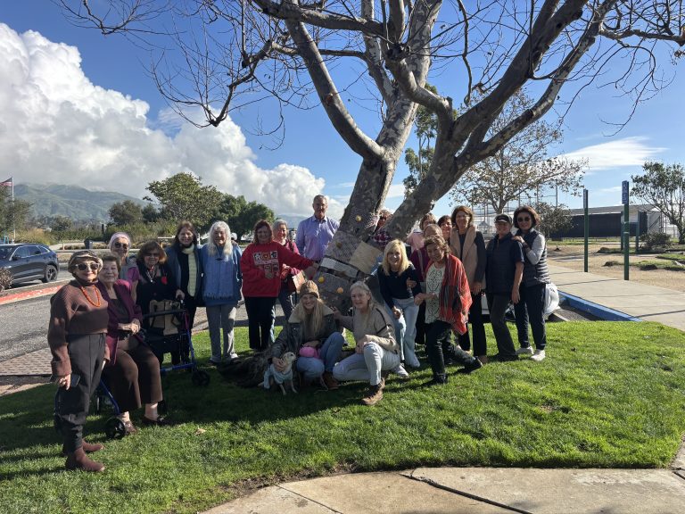 Malibu gets its first yarn bombing to commemorate Palisades Fire anniversary 